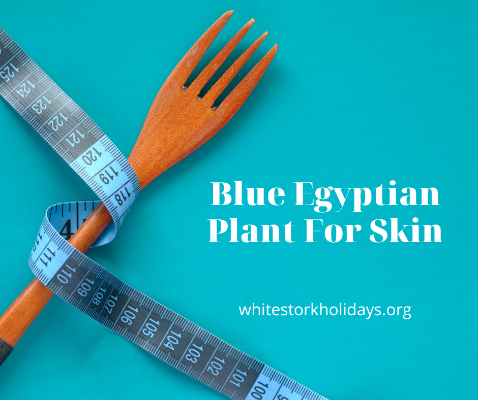 Blue Egyptian Plant for wrinkles