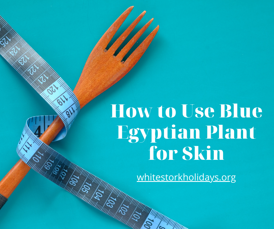 How to use blue Egyptian Plant for skin