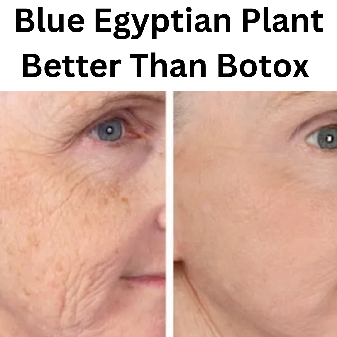 Blue Egyptian Plant Better Than Botox