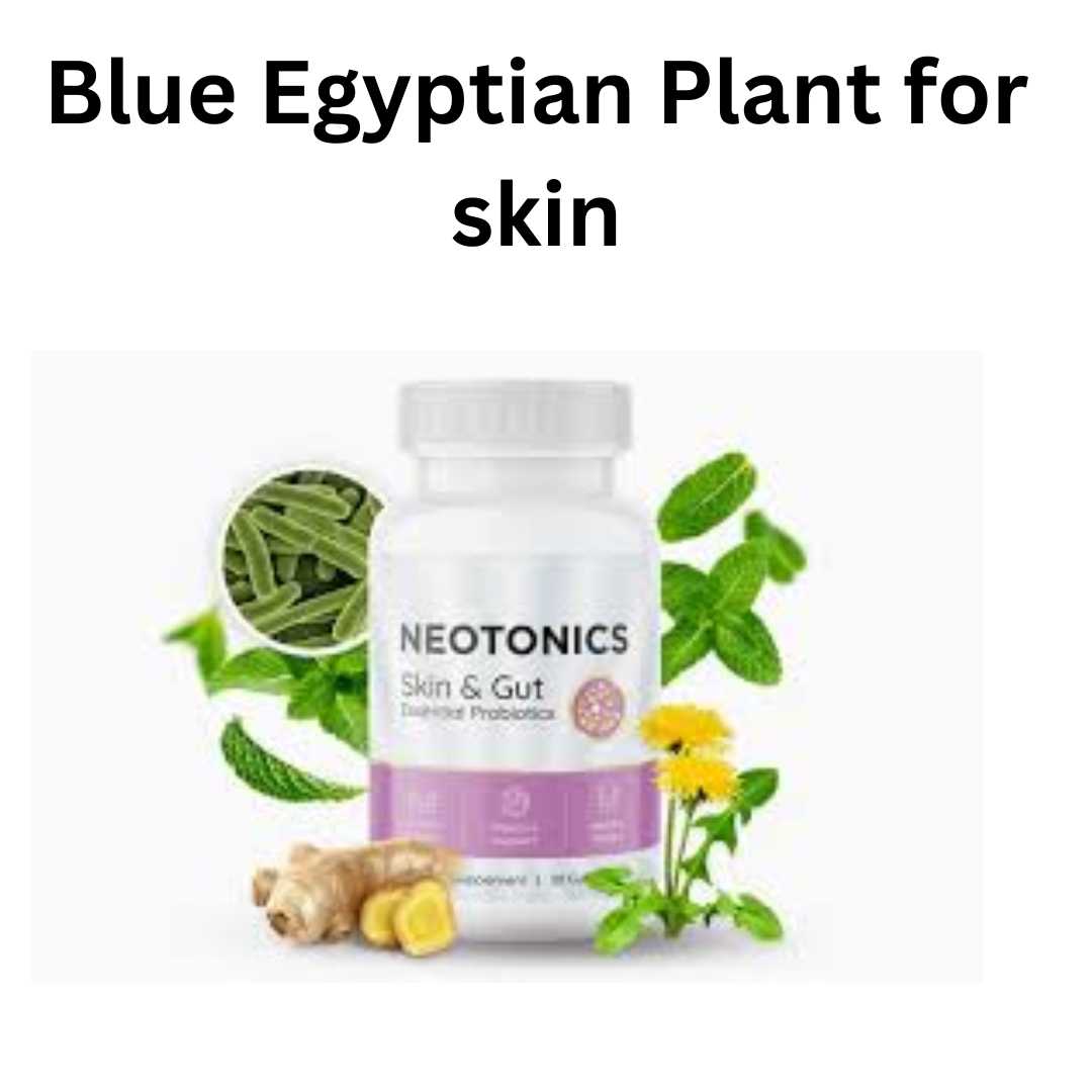 Blue Egyptian Plant for skin